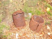 Sachsenwald 25.08.12.jpg