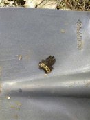 25082012763.jpeg.jpg