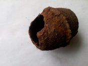 20120825_193349.jpg