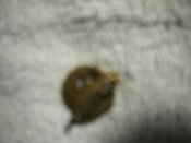 DSCN5357.JPG