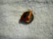 DSCN5358.JPG