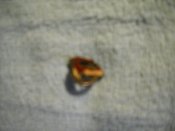 DSCN5356.JPG