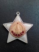 слава все степени копия