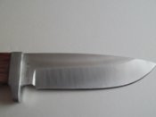 SAM_0917.JPG