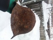 20190127_114005.jpg