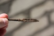 IMG_7894.JPG