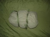 DSC05756.jpg