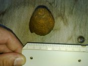 240820121617.jpg