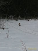 P_20180218_140557_1_p.jpg