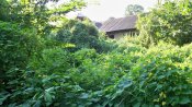 100_5742.jpg