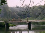 PIC_0515.jpg