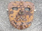 mask orig (question).jpg