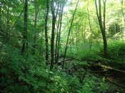 DSC05603.jpg