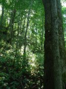 DSC05604.jpg