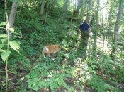 DSC05605.jpg