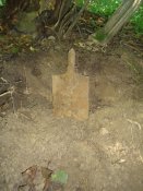 DSC05617.jpg