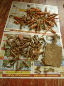 DSC05638.jpg