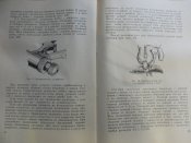 DSCN7776.JPG
