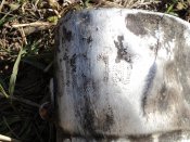DSC01074.jpg