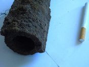 DSCN6017.jpg