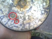 IMG0027Ai.JPG