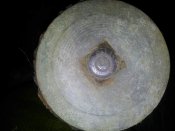 20120731_205504_thumb.jpg