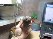 IMG_0711.JPG