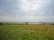 DSC05405.jpg