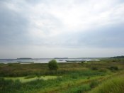 DSC05409.jpg