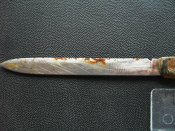 SDC13255.JPG
