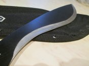 IMG_3484.JPG