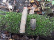 SDC12832.jpg