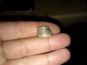 IMG_20120823_225128.jpg