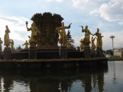 IMG_5447.jpg