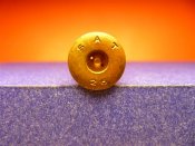 P1050009 (Medium).JPG