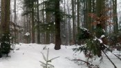 IMG_20190203_120930.jpg