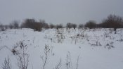 20190204_095303.jpg
