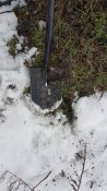 20190204_101944.jpg
