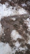 20190204_105346.jpg
