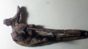 IMG_20190204_201005.jpg
