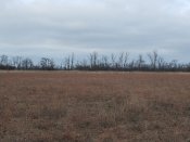 IMG_20190203_142231.jpg