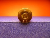 P1050010 (Medium).JPG