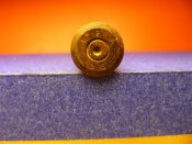 P1050030 (Medium).JPG