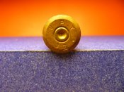 P1050032 (Medium).JPG