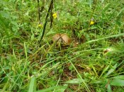DSC05577.jpg