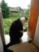 DSC05524.jpg