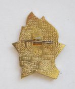 За активную работу = пионерский значок = в люксе!!!