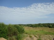 DSC05317.jpg