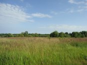 DSC05321.jpg