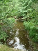 DSC05234.jpg